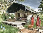 Porini Mara Camp
